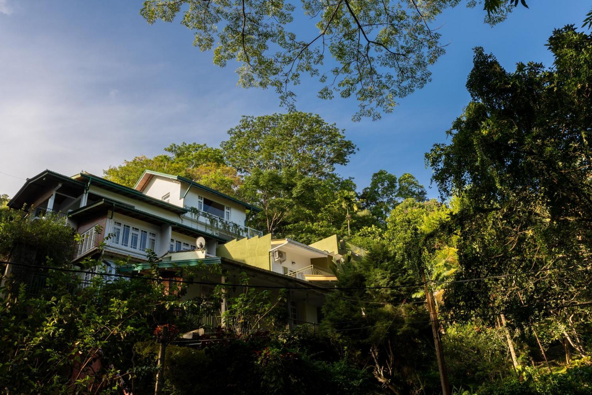 Greenwood Edge キャンディー エクステリア 写真